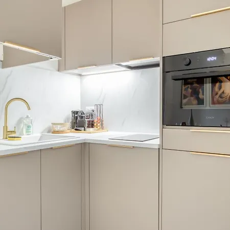 Appartement Le Lauroise Magnifique F2 Place Des Carmes