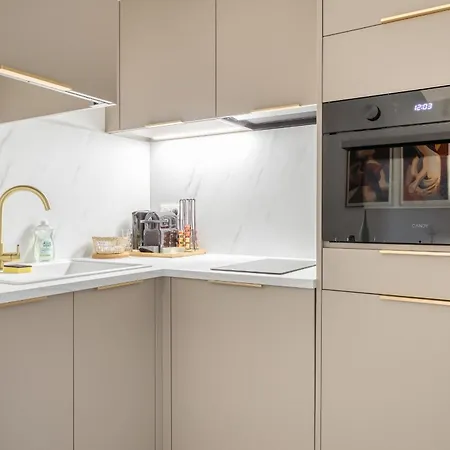 Le Lauroise Magnifique F2 Place Des Carmes