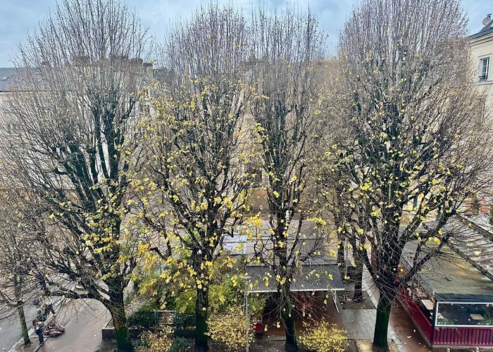 Le Lauroise Magnifique F2 Place Des Carmes Apartment Rouen